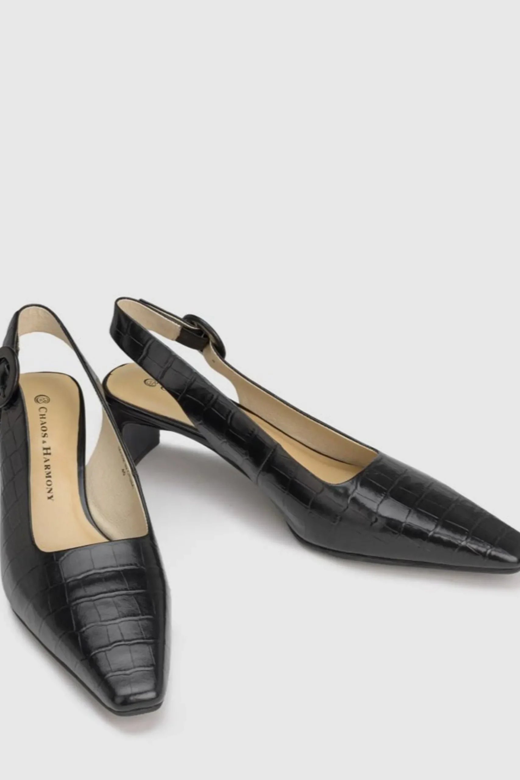 Chaos & Harmony Kind Heel - Black Croc