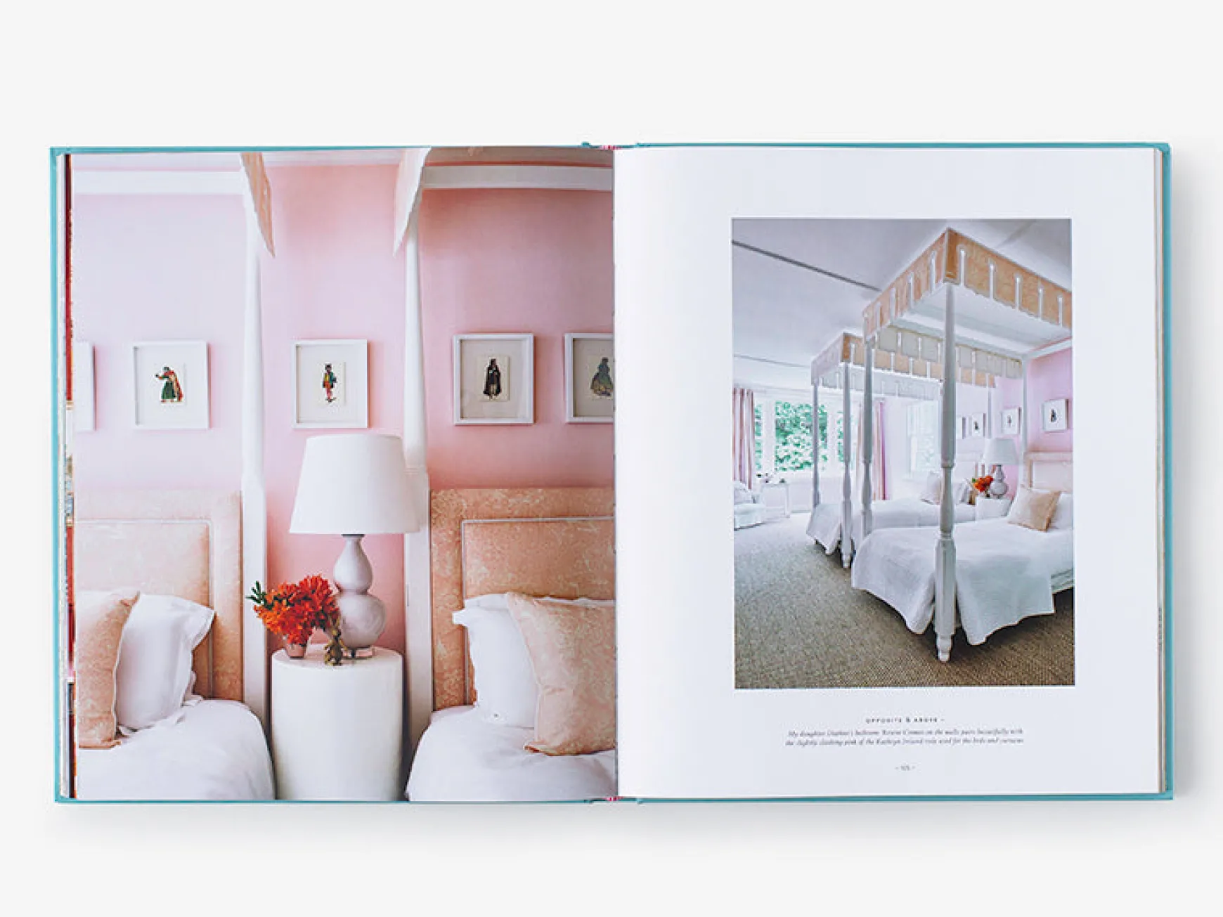 Colour is Home Book
