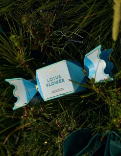 Ecoya Lotus Flower Tin Candle Bon Bon - Holiday Collection