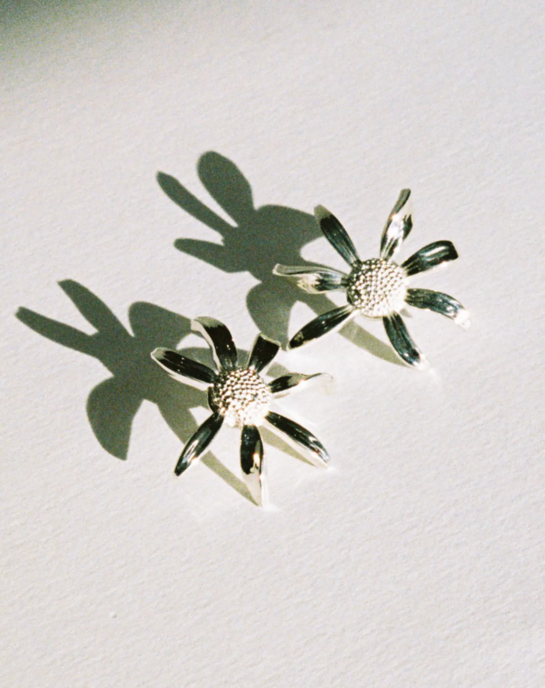 Meadowlark Large Daisy Earrings - Sterling Silver